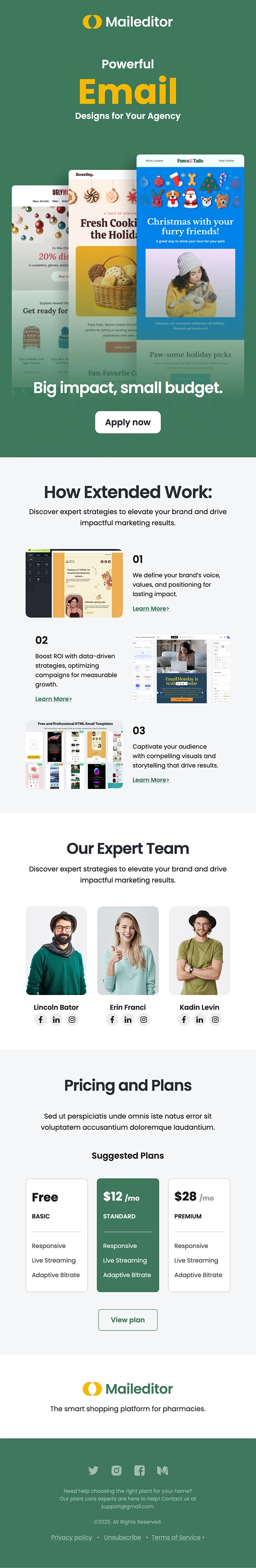 Email template 1